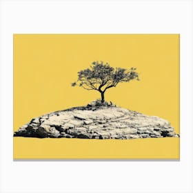 Tree On A Rock Canvas Print