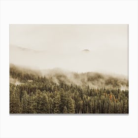 Fog Covered Forest Canvas Print