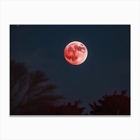 Red Moon Canvas Print