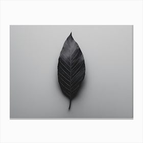 Black Leaf Canvas Print