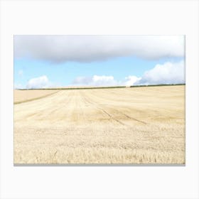 Barley field, Fife 11613 Canvas Print