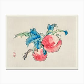 Peaches By Kōno Bairei, Kōno Bairei Canvas Print
