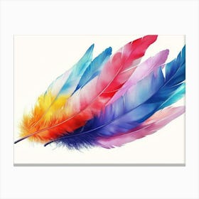 Colorful Feathers 1 Canvas Print