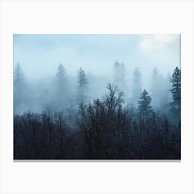 Pacific Northwest Forest - PNW Nature Canvas Print