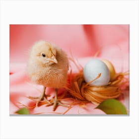 Easter Chick 2 Canvas Print