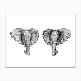 Elephant Mirror Canvas Print