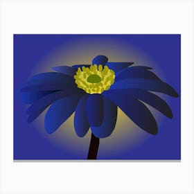 Anemone Blanda Flower Art Canvas Print