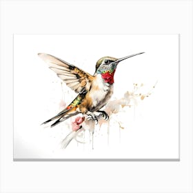 Kolibri Hummingbird - Water Color Painting 16 Canvas Print