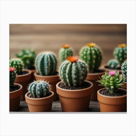 Cactus 1 Canvas Print