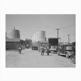 Untitled Photo, Possibly Related To Farmer Waiting In Line For Load Of Liquid Feed, Owensboro, Kentucky By Russell Canvas Print