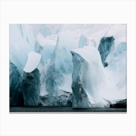 Arctic Silence Canvas Print