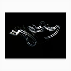 Glowing Abstract Curved Lines 2 Canvas Print