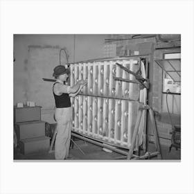 Crimping An Innerspring Mattress So The Tufts Will Be More Easily Put In, Mattress Factory, San Angelo, Texas By Russell Canvas Print