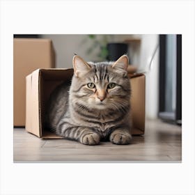 Cat In A Box 1 Canvas Print