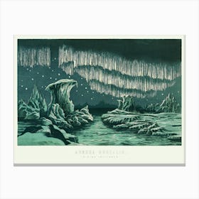 Arctic Arctic Canvas Print