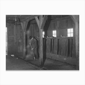 Lee Wagoner Sweeps Up His Milking Barn, Black Canyon Project, Canyon County, Idaho By Russell Lee Canvas Print