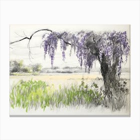 Wisteria Tree Canvas Print