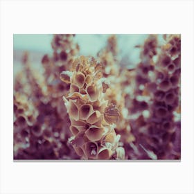 Close Up Of A Strange Purple Plant Canvas Print