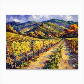 Vineyard Road 3 Canvas Print