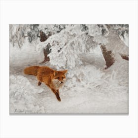 Red Fox In The Snow Painting Canvas Print