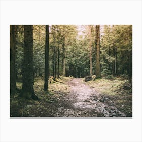 Mysterious Forest Path Canvas Print