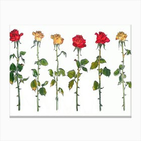 Roses Canvas Print