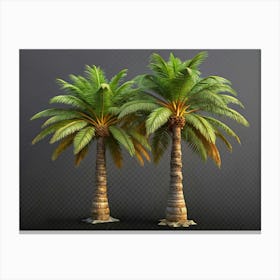 Two Palm Trees Against A Gray Background Canvas Print