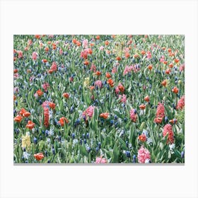 Field of flowers | Floral photography | The Netherlands Canvas Print