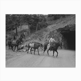 Sheepherders And Their Horses Moving Camp From Summer To Winter Range, Ouray County, Colorado By Russell Lee Canvas Print