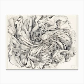 Whispers Of Graphite Canvas Print