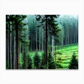 Forest Canvas Print