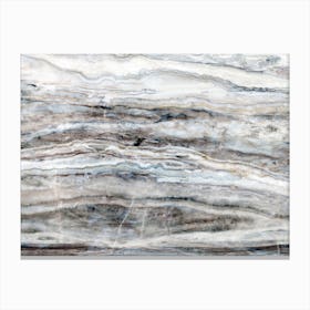 Blue and White Marble Landscape I Canvas Print