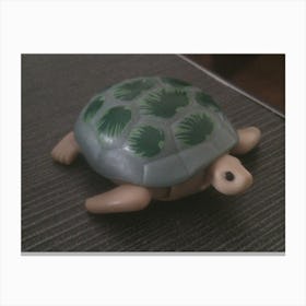 Turtle Canvas Print