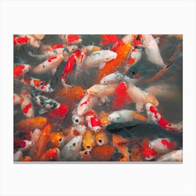 Luck Of The Koi Canvas Print