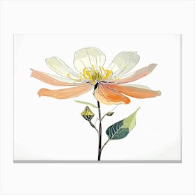 Peony 1 Canvas Print