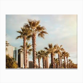 Palm Trees In The City Canvas Print