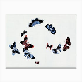 Japanese Butterfly, Cho Senshu (15) Canvas Print