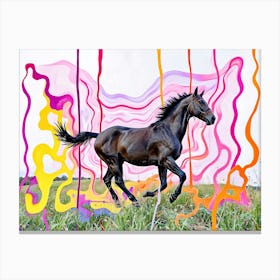 Black Horse Creative Color Painting Canvas Print