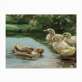 Ducks In The Pond 1 Canvas Print