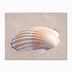 Neutral tones seashell in beige and orange - coastal nature and travel photography by Christa Stroo Photography Canvas Print