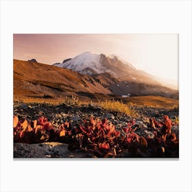 Autumn Wildflowers - Mount Rainier National Park Canvas Print