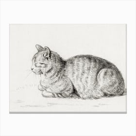 Lying Cat, Jean Bernard Canvas Print