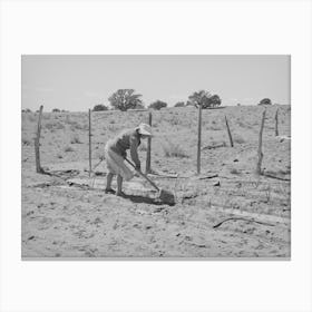 Untitled Photo, Possibly Related To Mrs, George Hutton Irrigating Her Garden, The Huttons Have Ample Water At Their Farm Canvas Print
