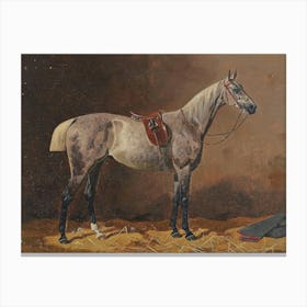 Vintage Horse In A Stable Canvas Print