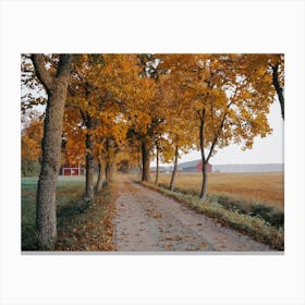Farm Driveway In Fall Canvas Print