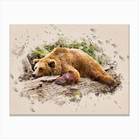 Bearly There Canvas Print