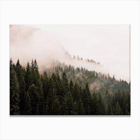 Foggy Mountain Forest Canvas Print
