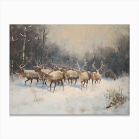 Elk Herd Canvas Print