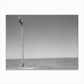 Untitled Photo, Possibly Related To Lineman, Canyon County, Idaho By Russell Lee Canvas Print