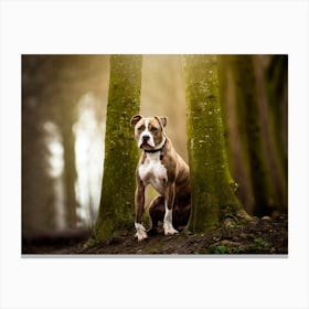 Stafford in between the trees - Gavers Belgium dog photo print - moody animal photography art Canvas Print